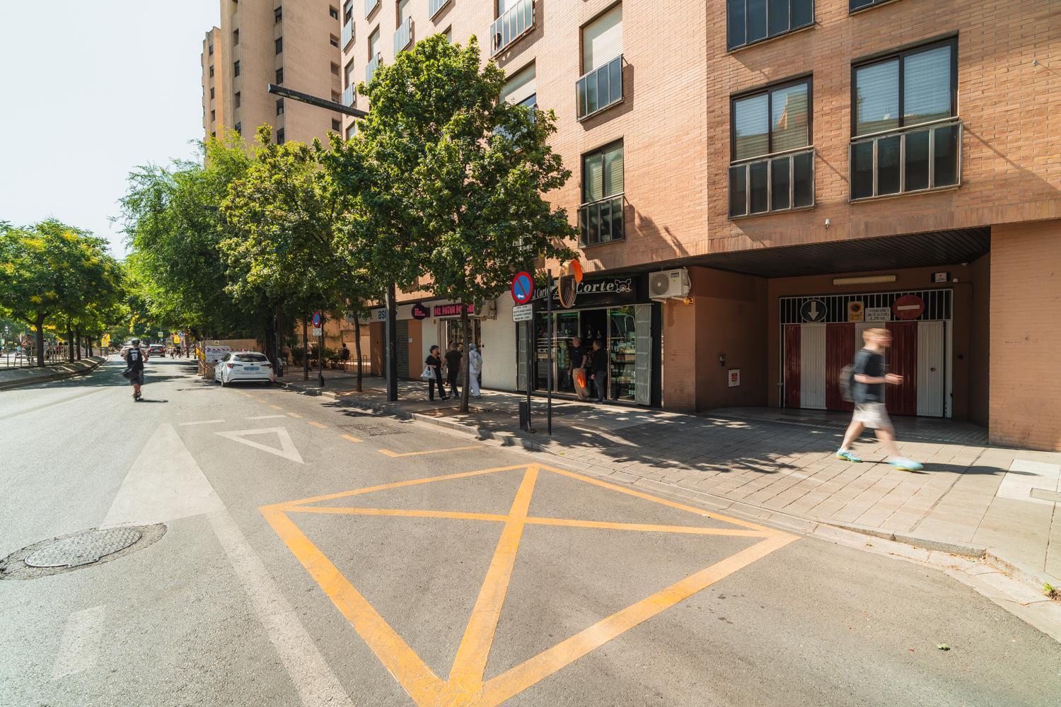 Constitucion Apartment - Free Parking Granada Exterior photo